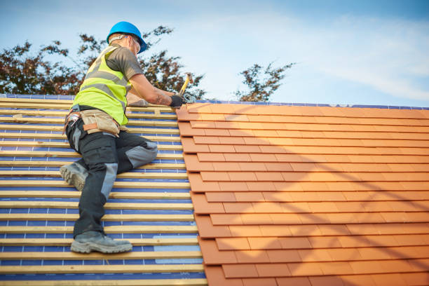 Professional  Roofing repair and installation in The Plains, OH